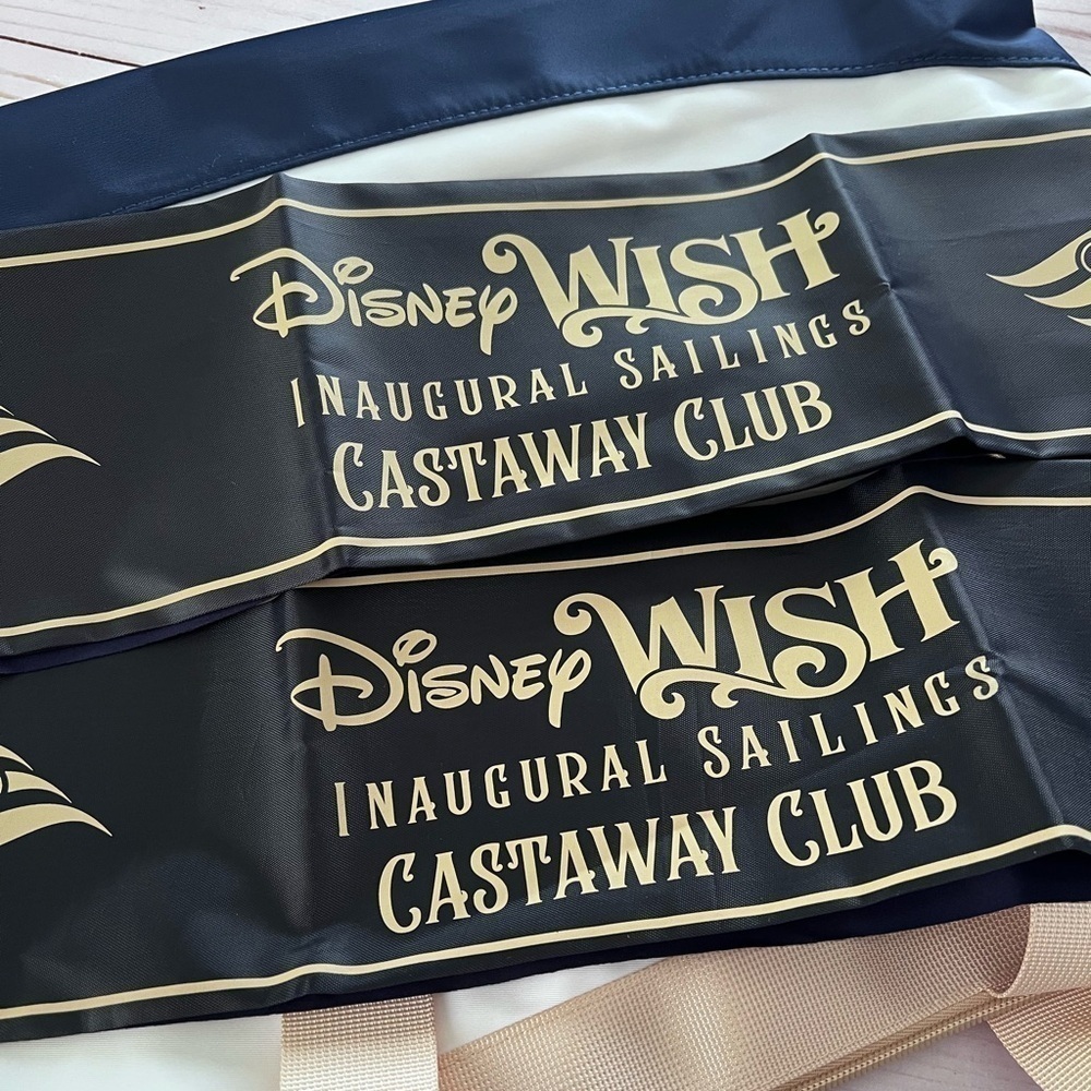 NWT Disney Wish Inaugural Sailings Tote and - Picture 6 of 16